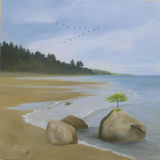 Sand Dollar